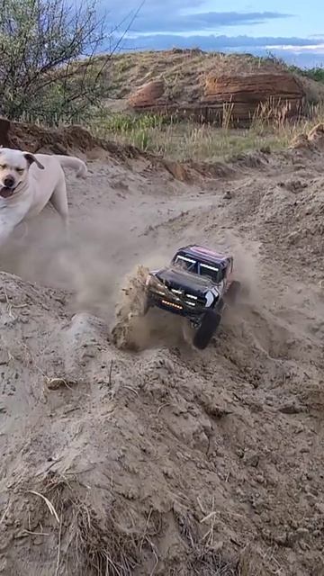 Замедленное видео с Mjx H8p #rc #rccar #scale #4x4rc #rclife #rcfun #rcmodel #mjx #mjxrc