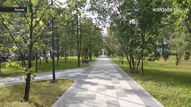 Команда Королёва: итоги первой Народной программы подвели на конференции Единой России