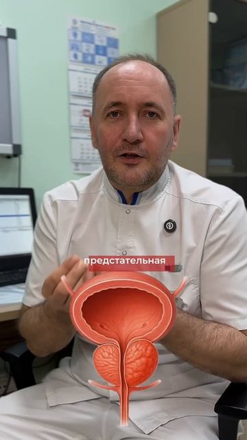 Острый и хронический простатит, симптомы