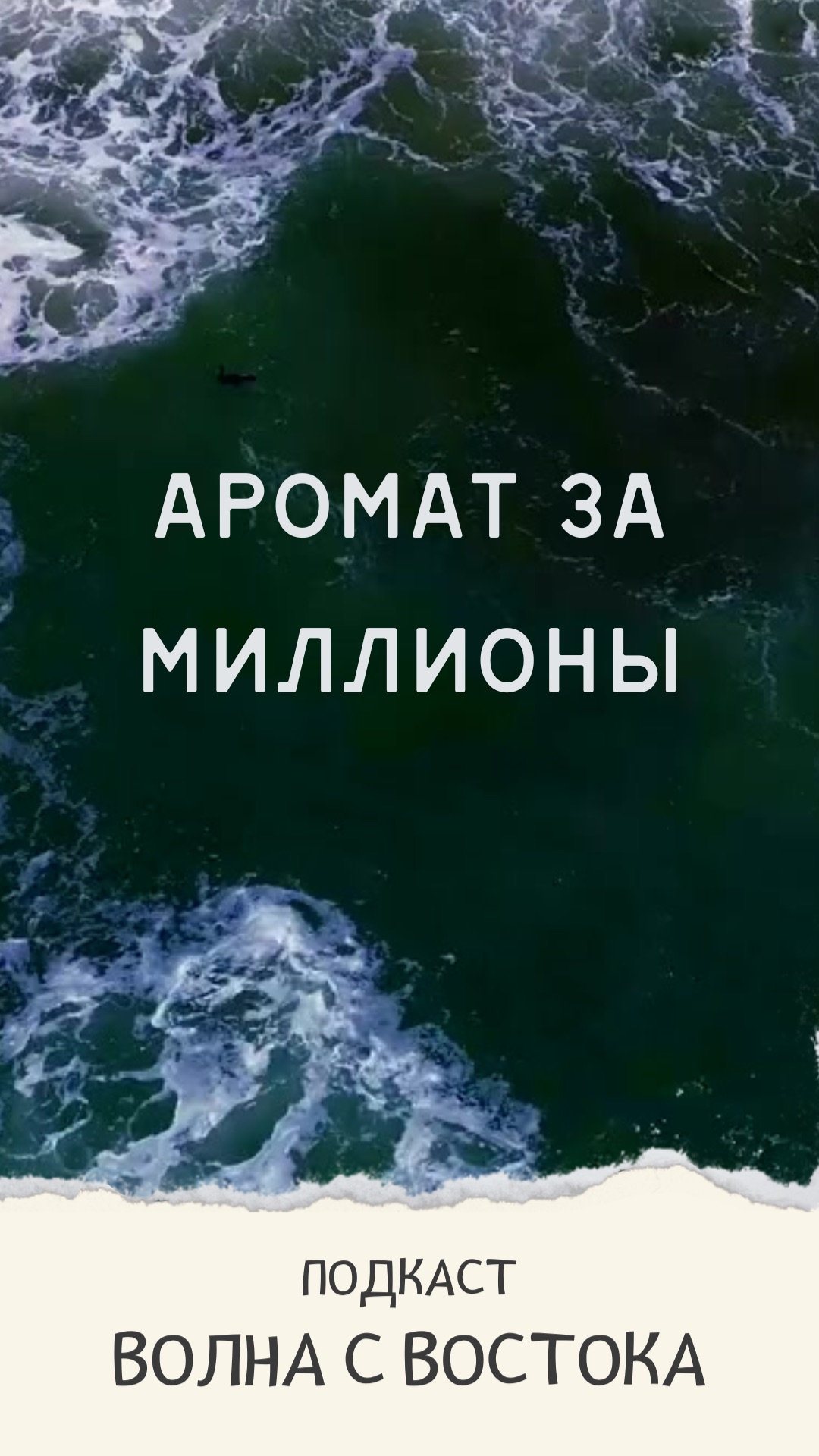 Самый дорогой запах в мире 🪵