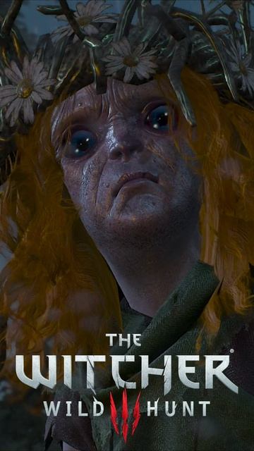 КРЕДО ВЕДЬМАКА. База от Геральта Самый опасный преступник Скеллиге The Witcher 3 #shorts