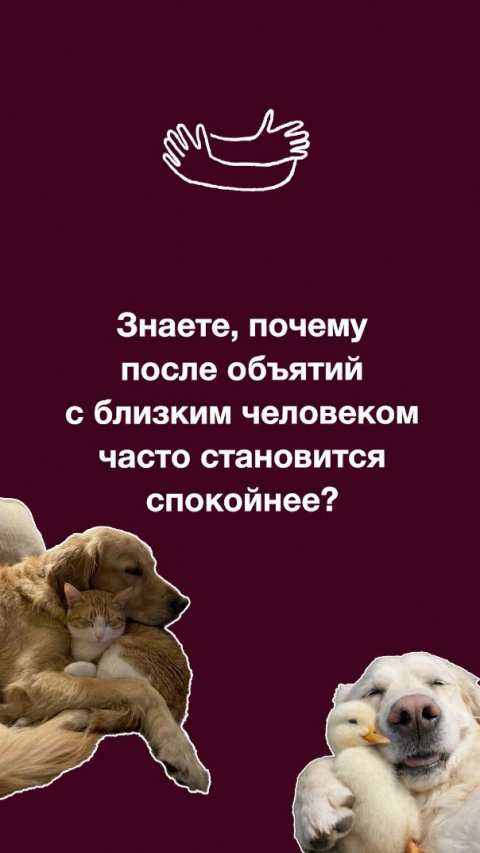 Почему объятия успокаивают?