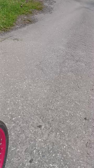 жжжжжжжжж