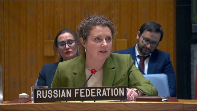 Ответное слово А.М.Евстигнеевой представителю Украины в СБ ООН