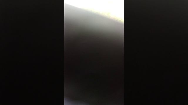 новые мои американские горки
