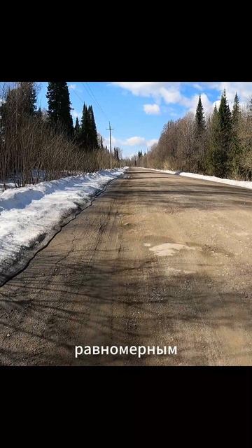 «Весенний румянец леса»