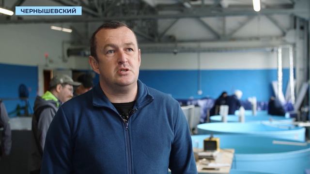 Полтора миллиона личинок чира отправились в Вилюй во Всемирный день охраны окружающей среды