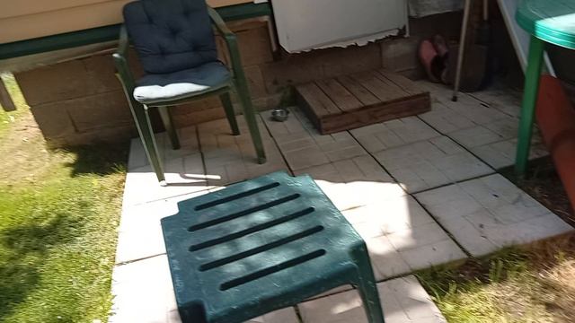 393.mp4