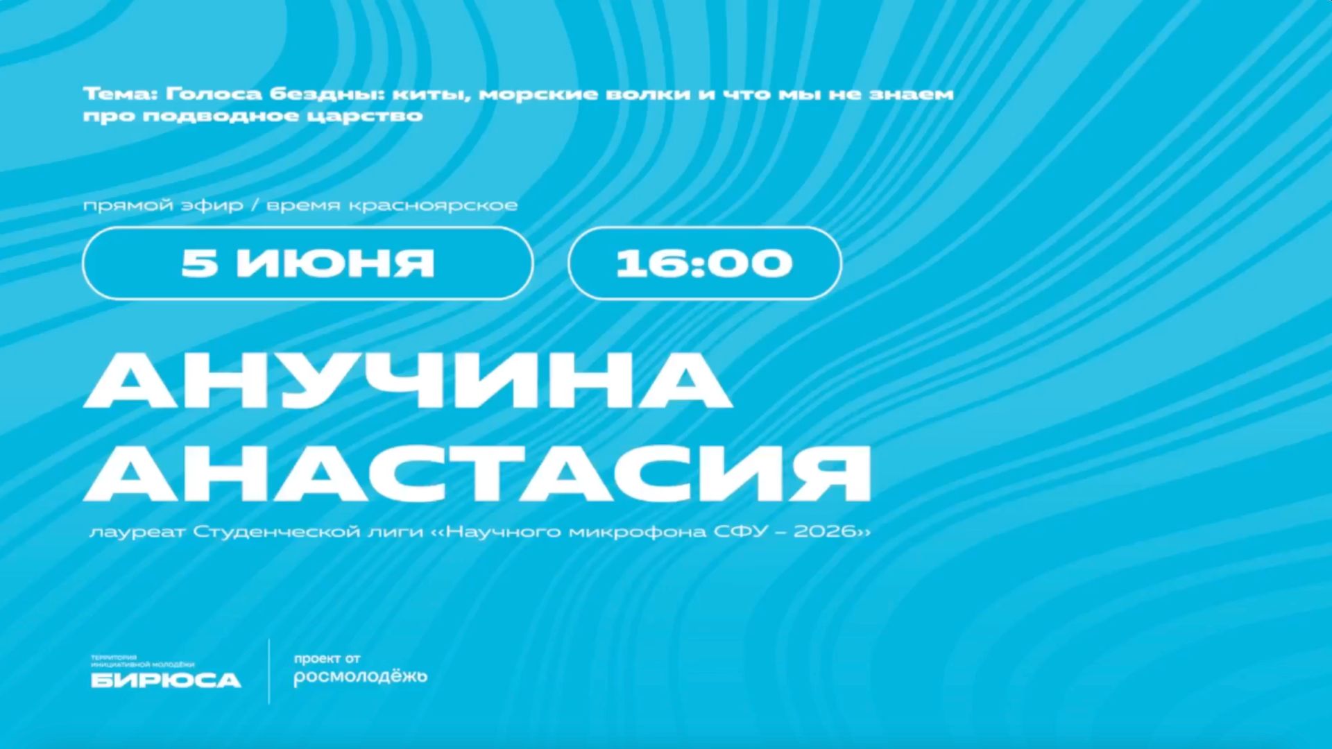 Голоса бездны: киты, морские волки и что мы не знаем про подводное царство