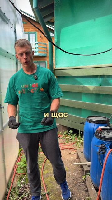 Как удобрять органикой и остаться чистым