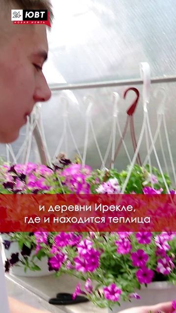 От бабушкиной клумбы до собственной теплицы