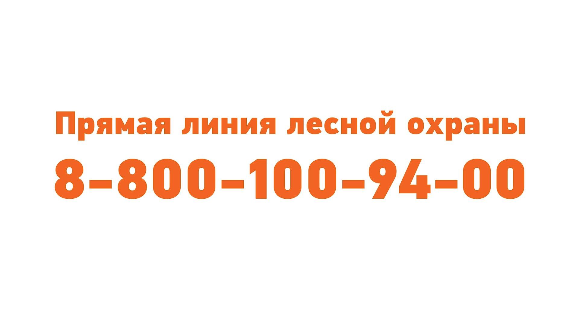 Останови огонь!