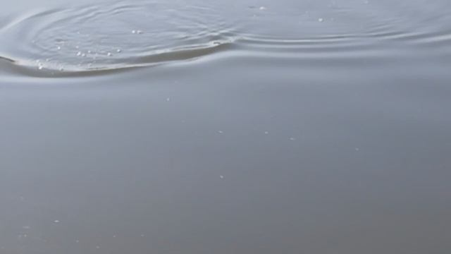 1000047706.mp4