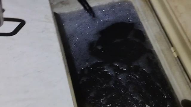 1000047729.mp4