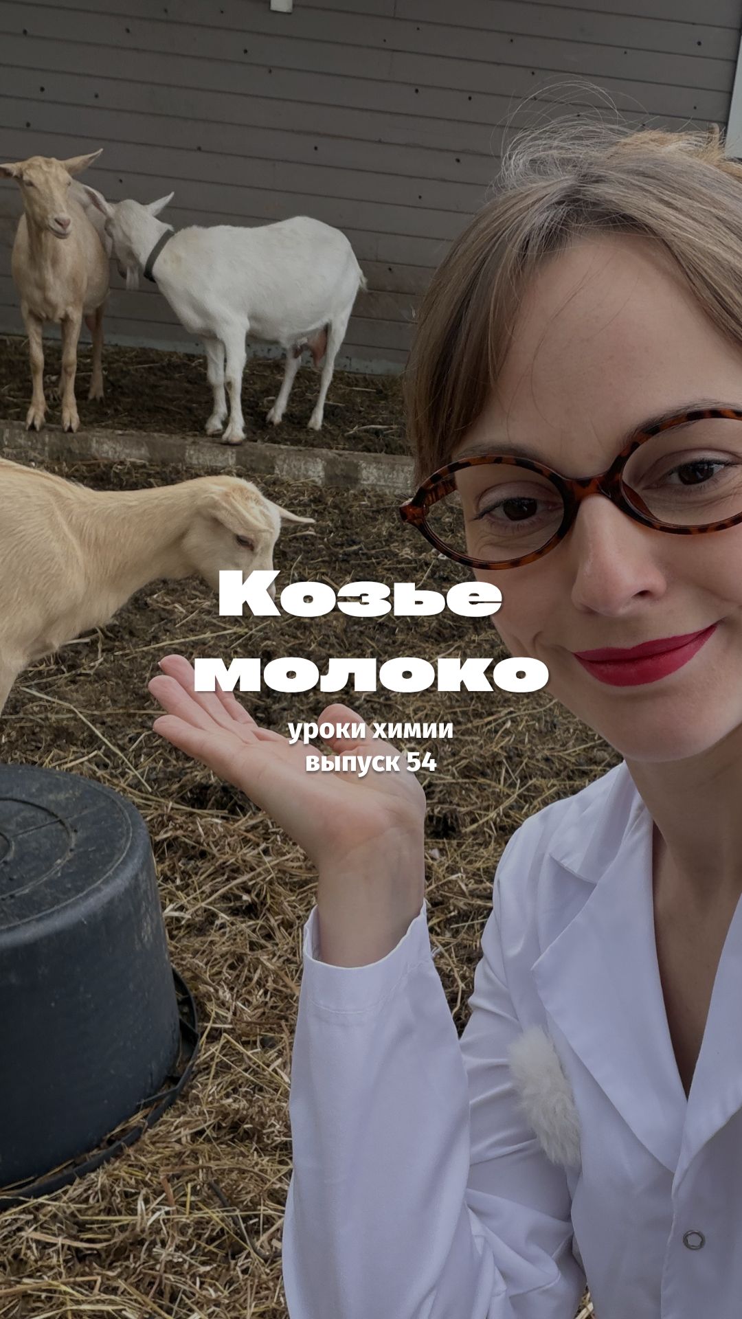 Козье молоко | тгк @netolkotortotpro
