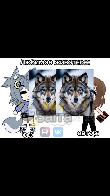 Сравнение вкусов ос и автора