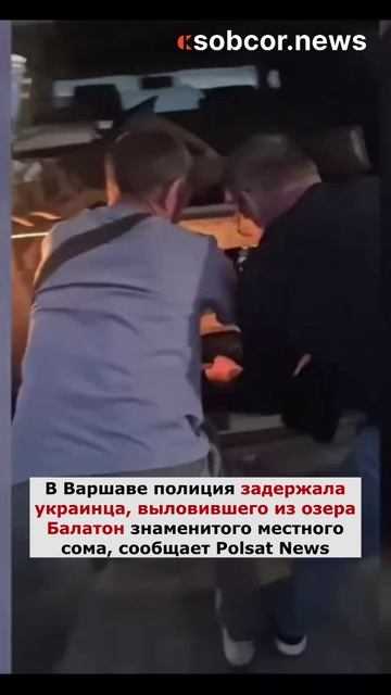 В Варшаве полиция задержала украинца, выловившего из озера Балатон знаменитого местного сома