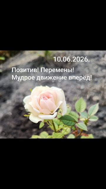 Девиз дня!✨🌈☀️10.06.2026. Позитив! Перемены к лучшему! Мудрое движение вперёд!#душа #мысли #чувства