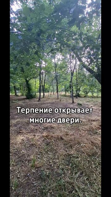 Цитаты