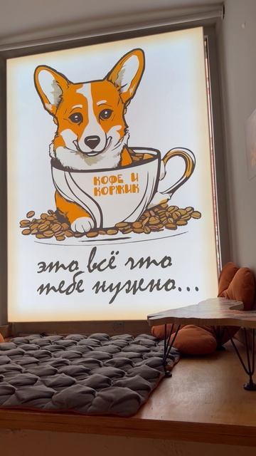 Коргичино и пирожное в форме лапки в корги-кафе в Санкт-Петербурге