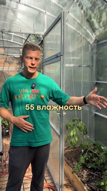 Что убивает томаты