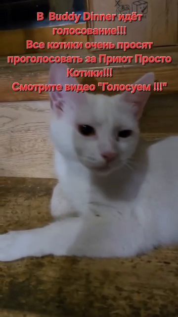 Тильда