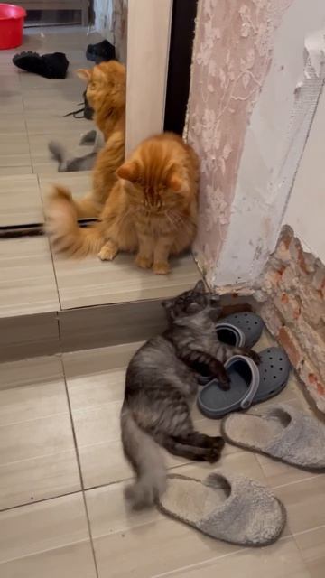 Барон и Ганс