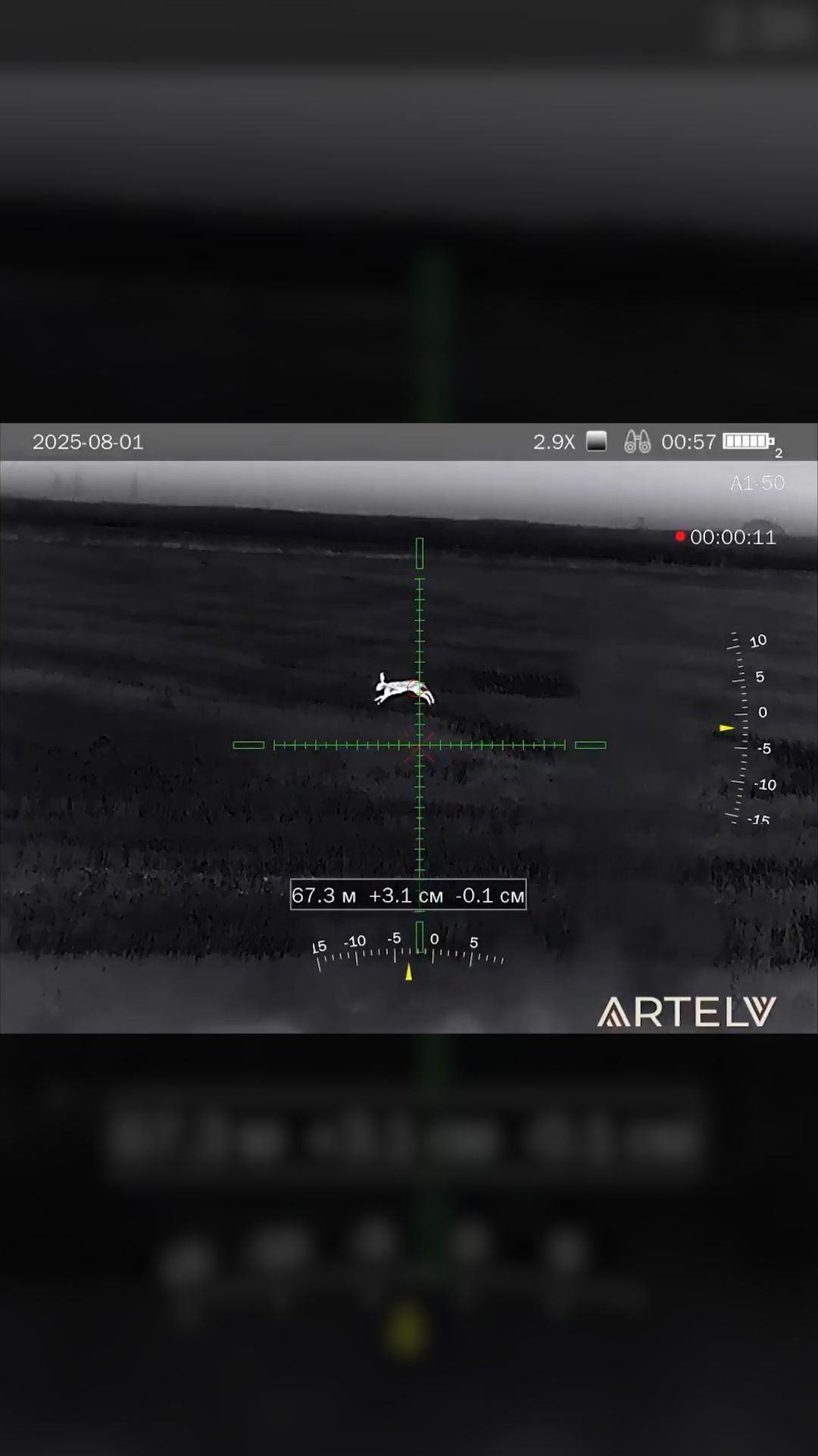 Тепловизор Atomos 2.9×50 мм 640×512: отзыв охотника