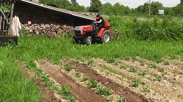 Внук Даня окучивает картошку на МТ 180, 10,06,2026 г.