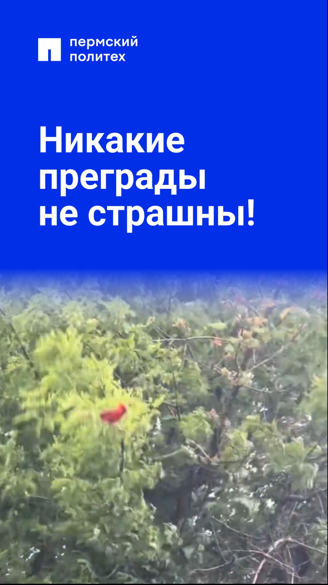 Никакие преграды не страшны!
