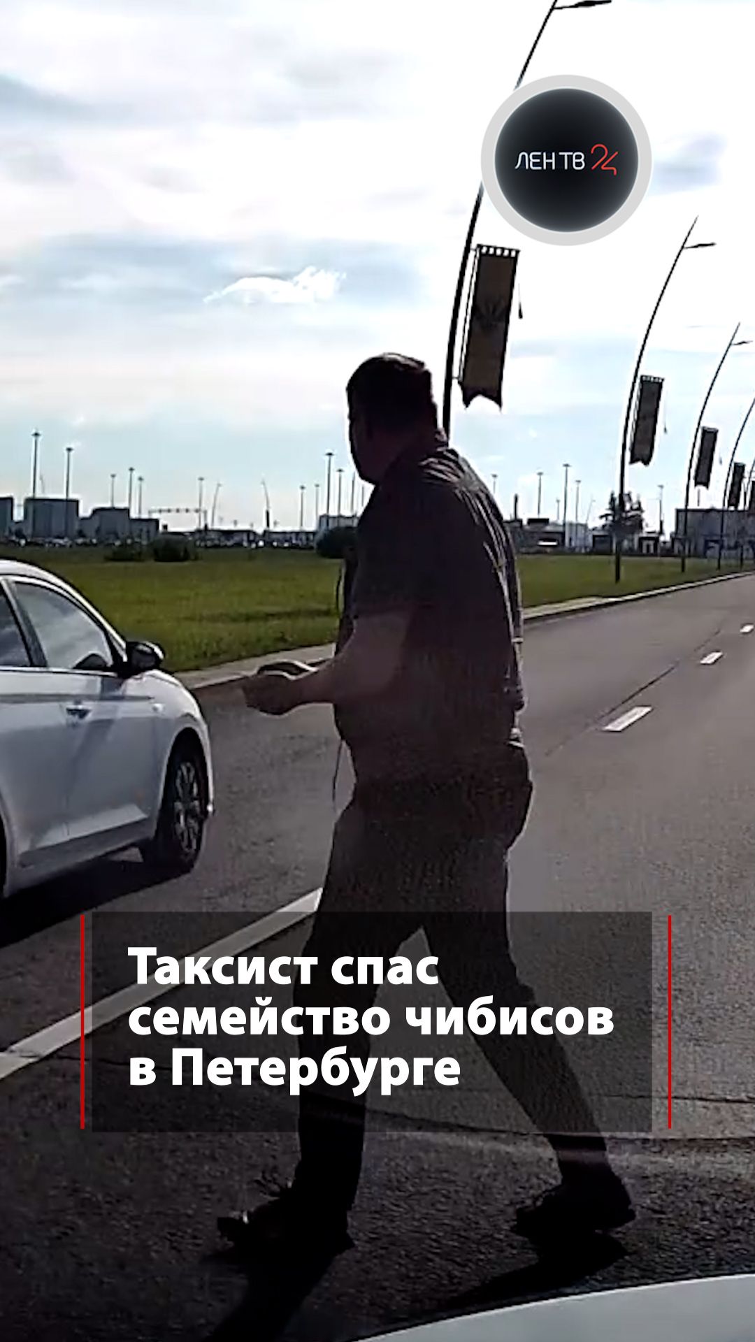 Пернатые нарушители замечены на дороге около аэропорта Пулково