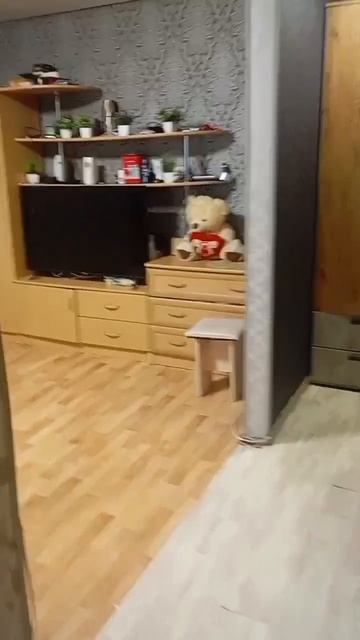 15699766217394