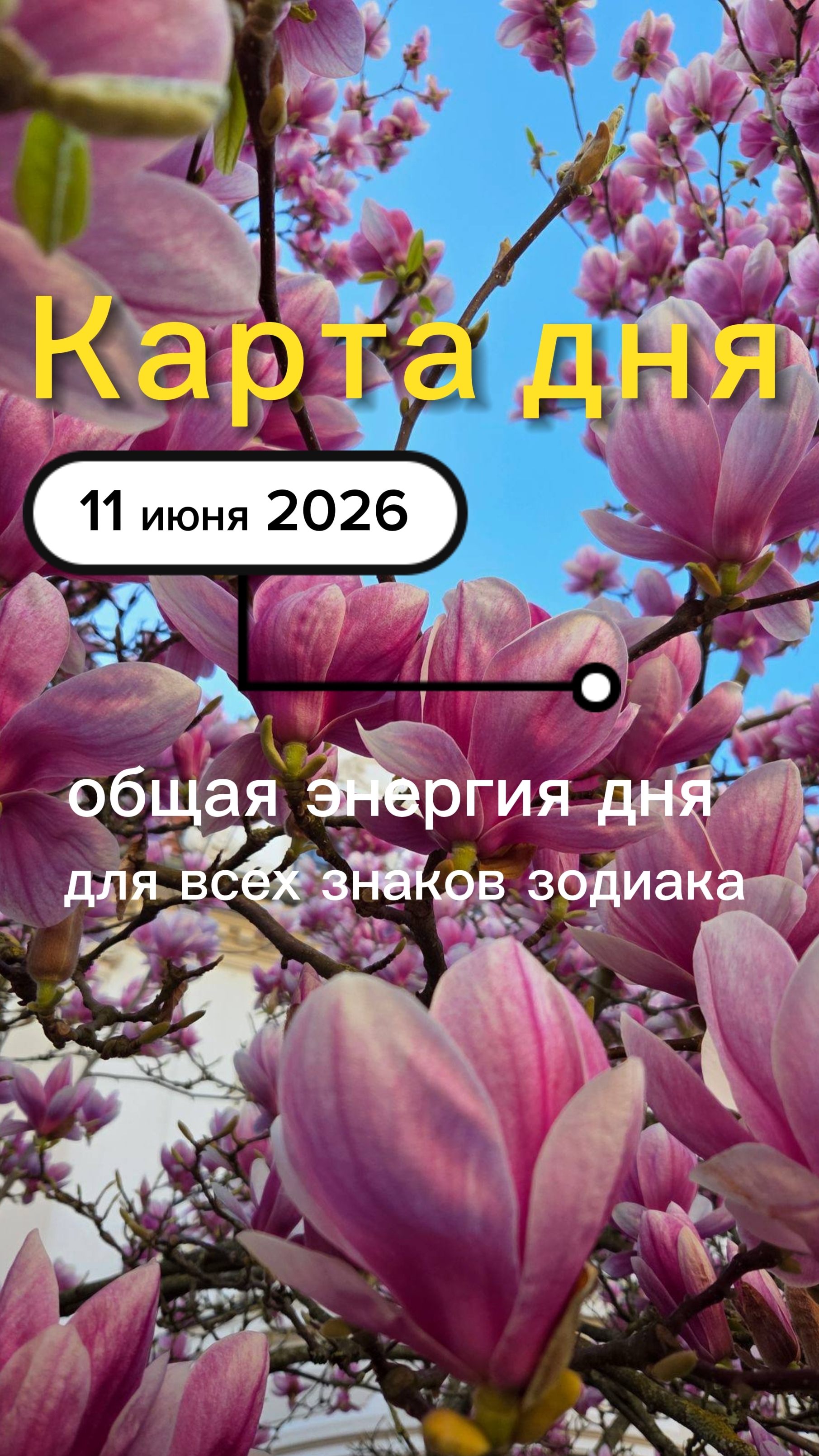 Карта общего фона на 11-06-2026. Четверг