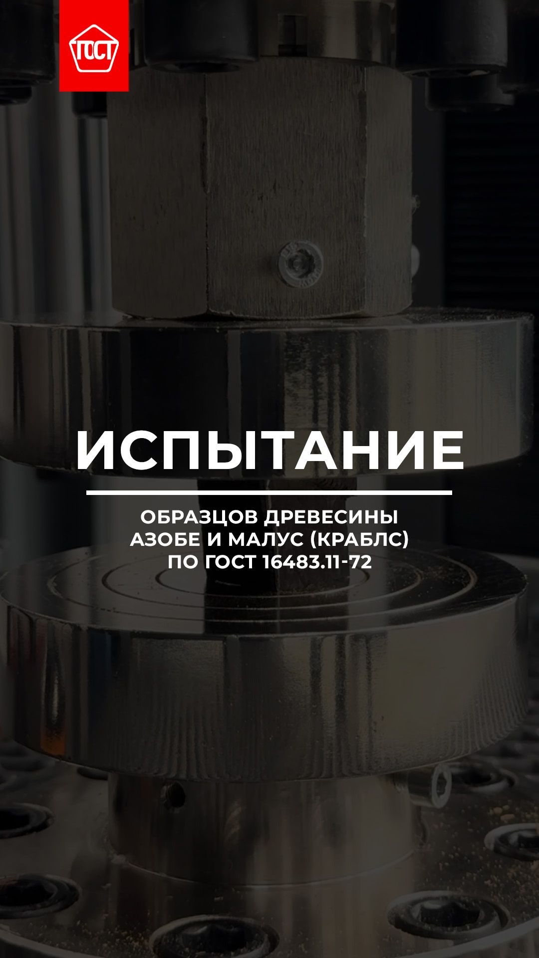 Прочность иностранной древесины. Часть 1: азобе и малус краблс