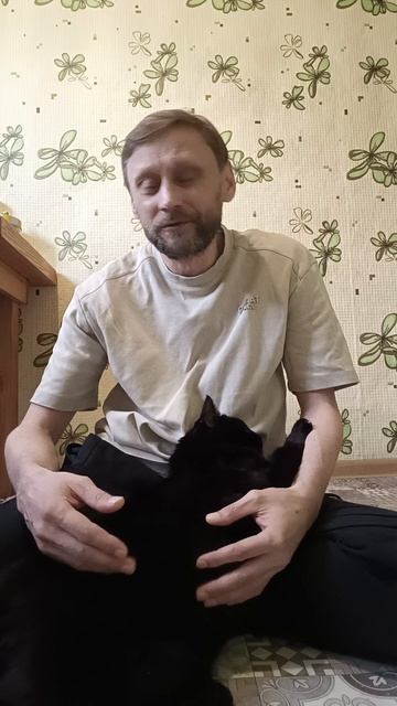 Трансформация без отжиманий