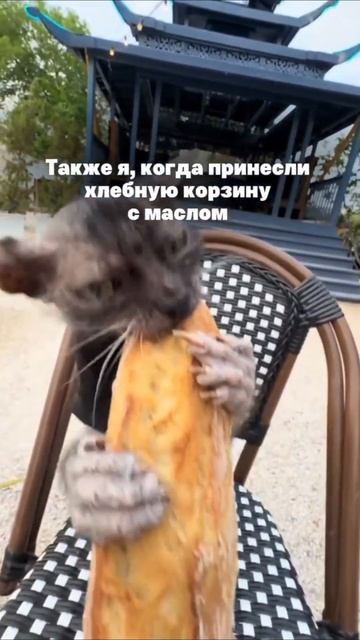 Не смогла удержаться