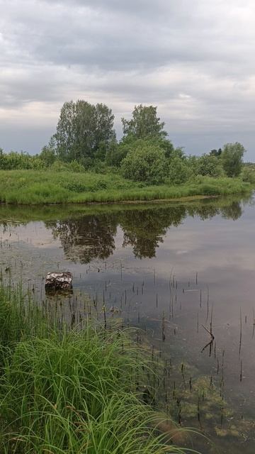 Утро на таёжной речке