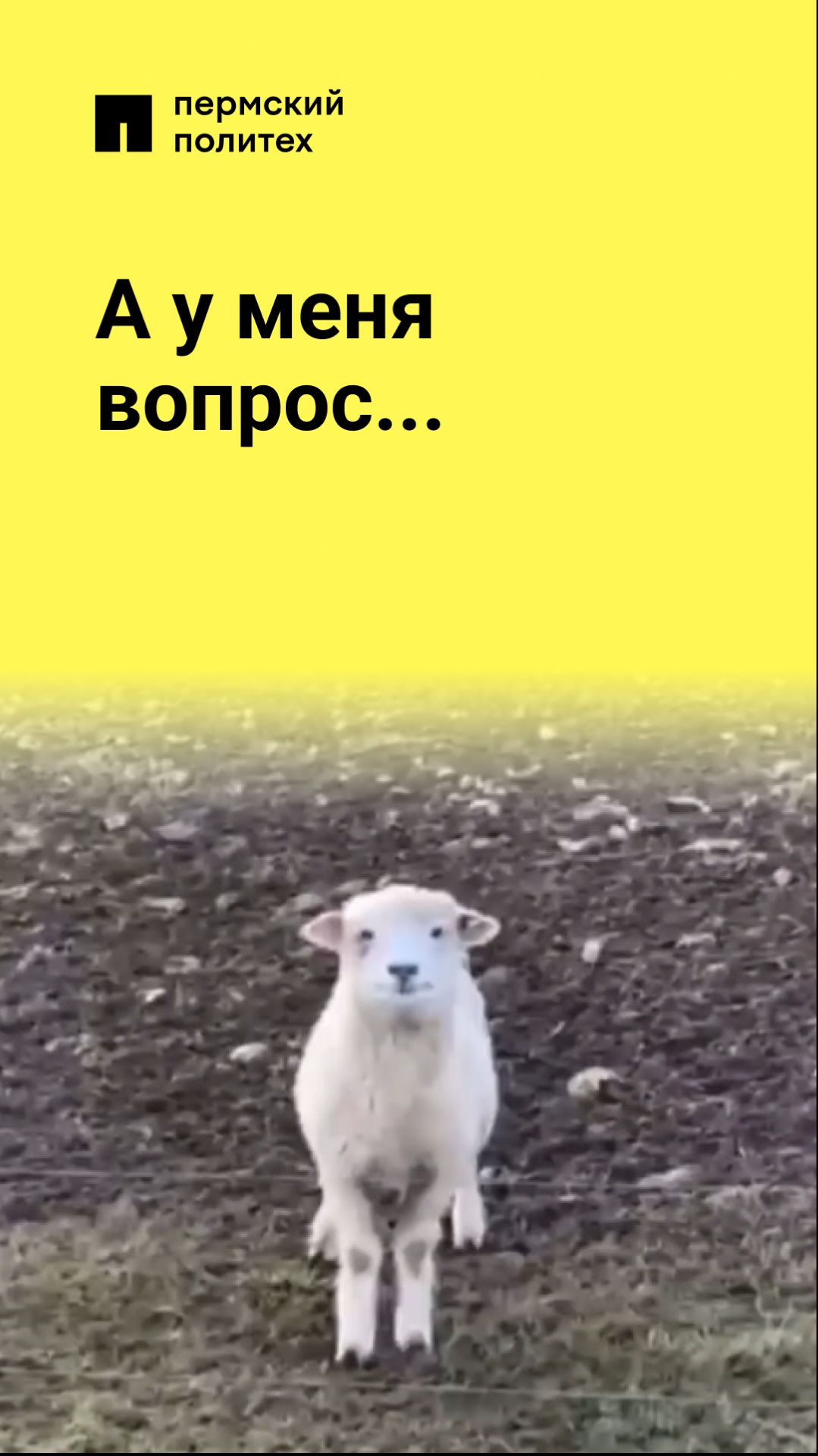 А у меня вопрос...
