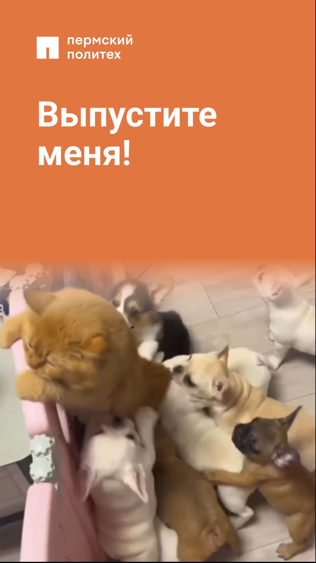 Выпустите меня!
