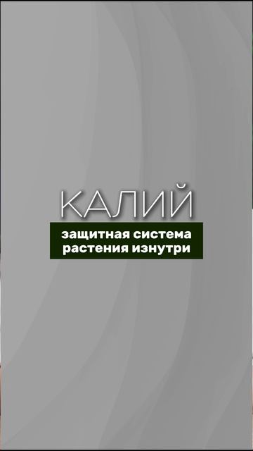 какими удобрениями подкармливать газон в конце лета