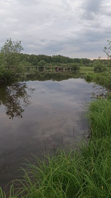 Звуки природы