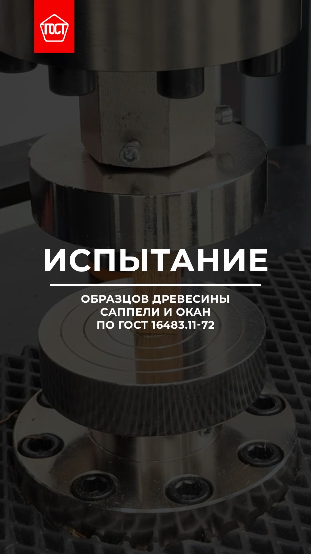 Прочность иностранной древесины. Часть 2: саппели и окан