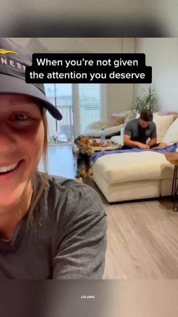 Dogs Refusing To Go Home, Maximum Drama, And The Adoption Plot Twist