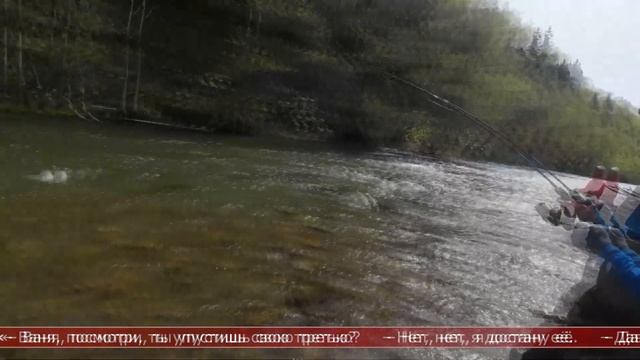 15.06.2026 Сахалинские блоги. РЫБКА САХАЛИНА. Жемчужина Сахалина