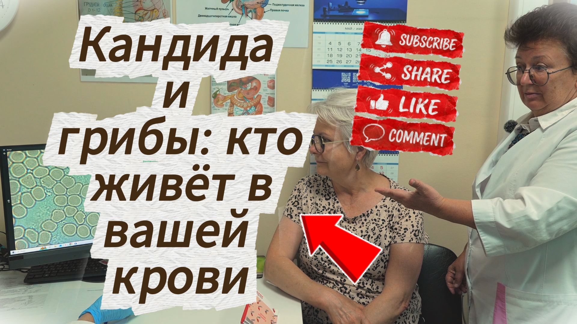 Как не допустить накопление белкового мусора?