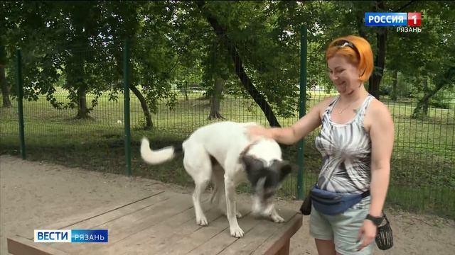 Эфир от 10.06.2026 (21:10)