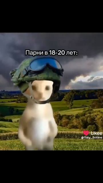 учеба вали к другим я лучше другим займусь