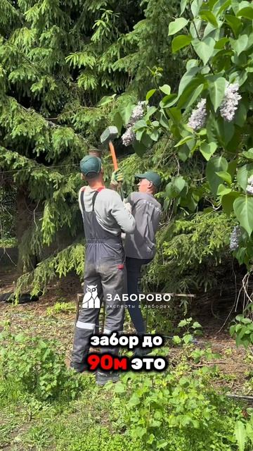Забор за один день. Реально? Да!