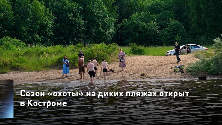 Сезон «охоты» на диких пляжах открыт в Костроме