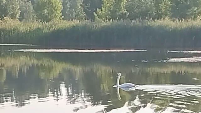1000047749.mp4